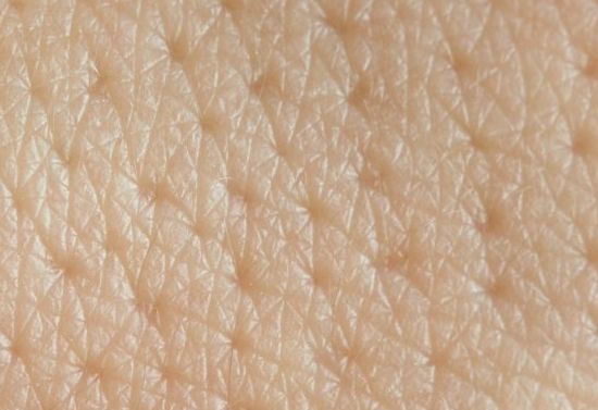 lentinus edodes mycelium extract skin benefits.png